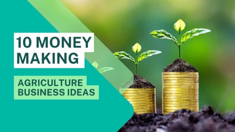 Top 11 Money Making Agriculture Business Ideas