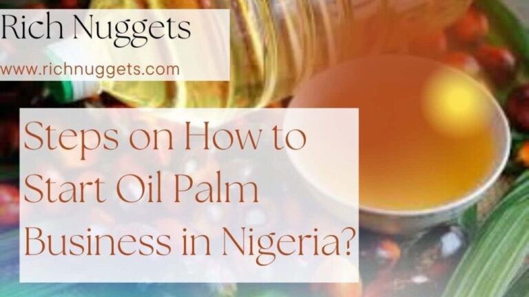 How to Start a Successful Palm Oil Business in Nigeria: Step-By-Step Guide