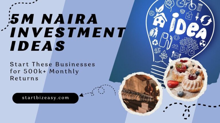 Top N5m Naira Investment Ideas: Start These Businesses for 500k+ Monthly Returns