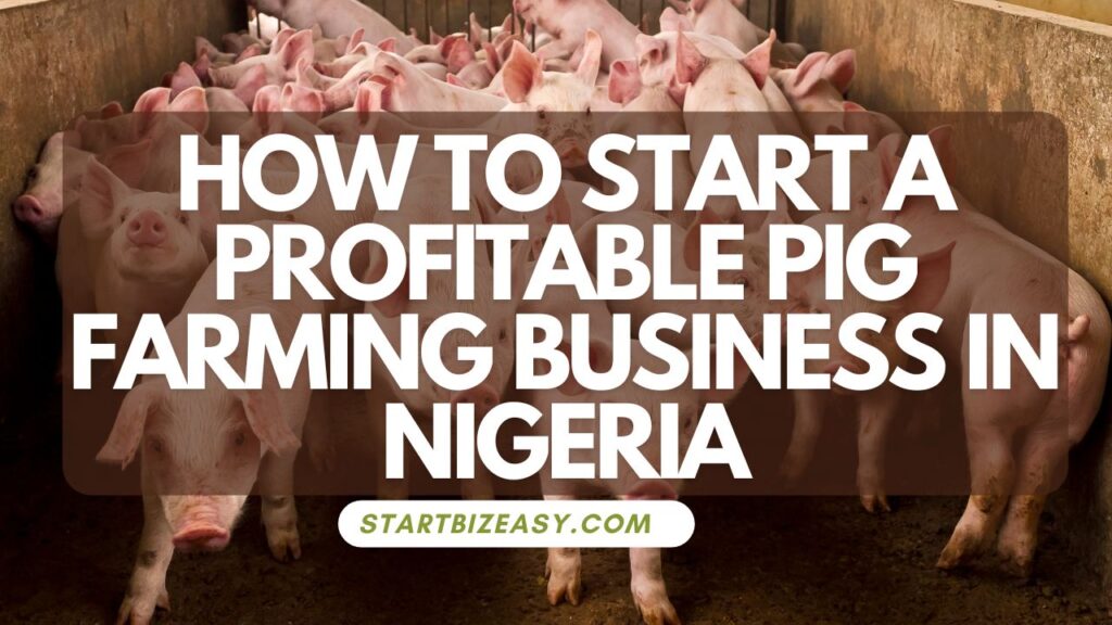 Start a Profitable Pig Farming Business in Nigeria: Make 500k to a million monthly