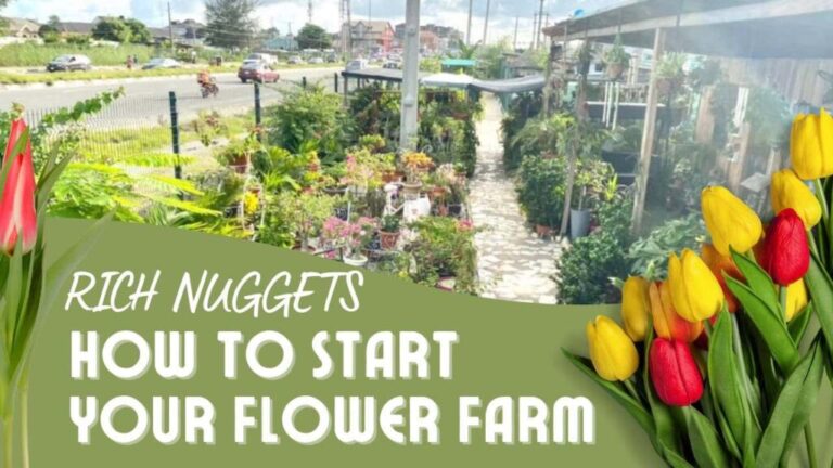 How To Start Your FLOWER FARM Business: 6 Essential Step-By-Step Guide