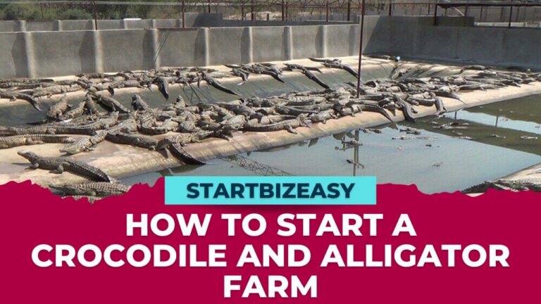 How to Start a Crocodile and Alligator Farm: The Ultimate Guide to Starting Your Own Wildlife Adventure