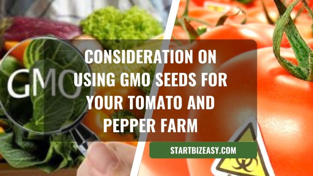 Consideration on using GMO Seeds for your Tomato and Pepper Farm