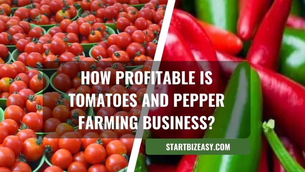 How Profitable is Tomatoes and Pepper Farming Business?