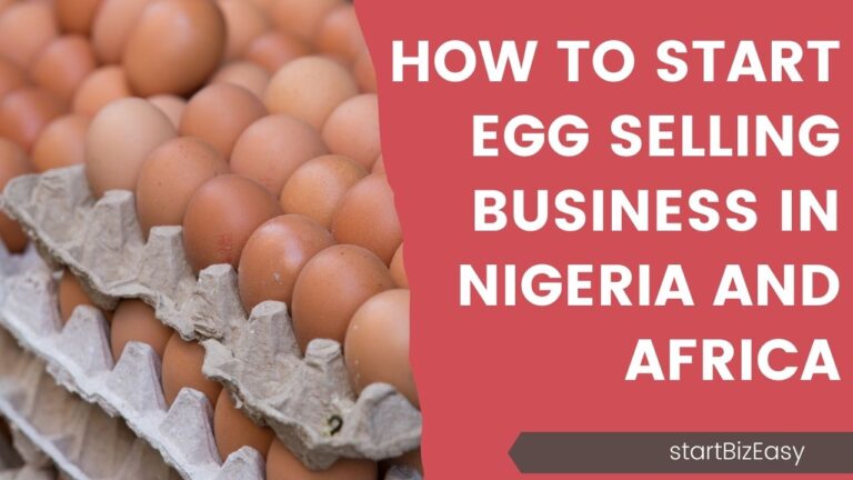 How to Start Egg Selling Business in Nigeria and Africa