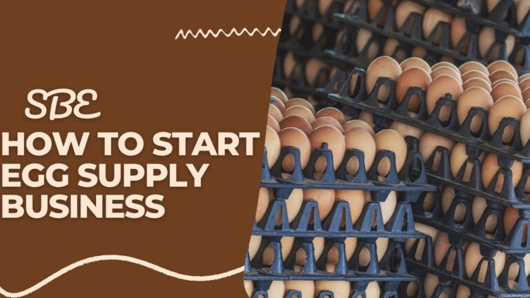 How to Start Egg Supply Business: Your Complete Step-By-Step Guide