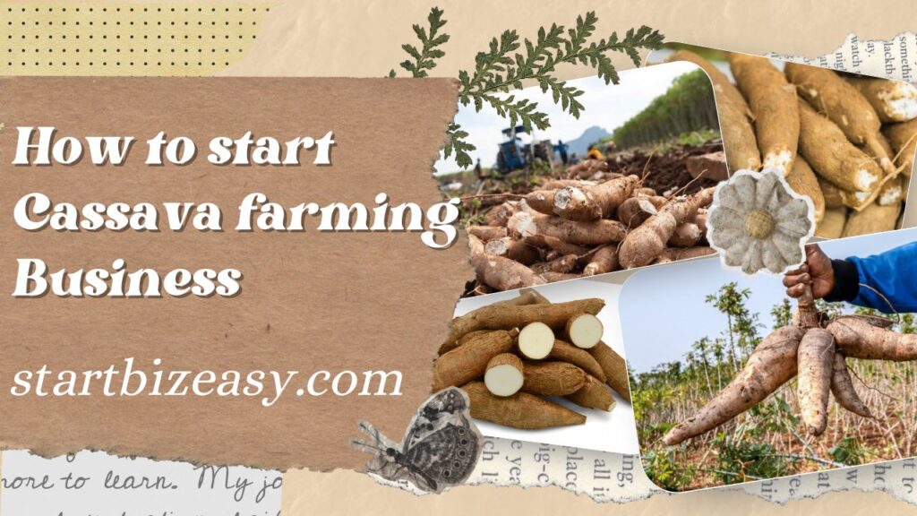 How to start Cassava farming Business