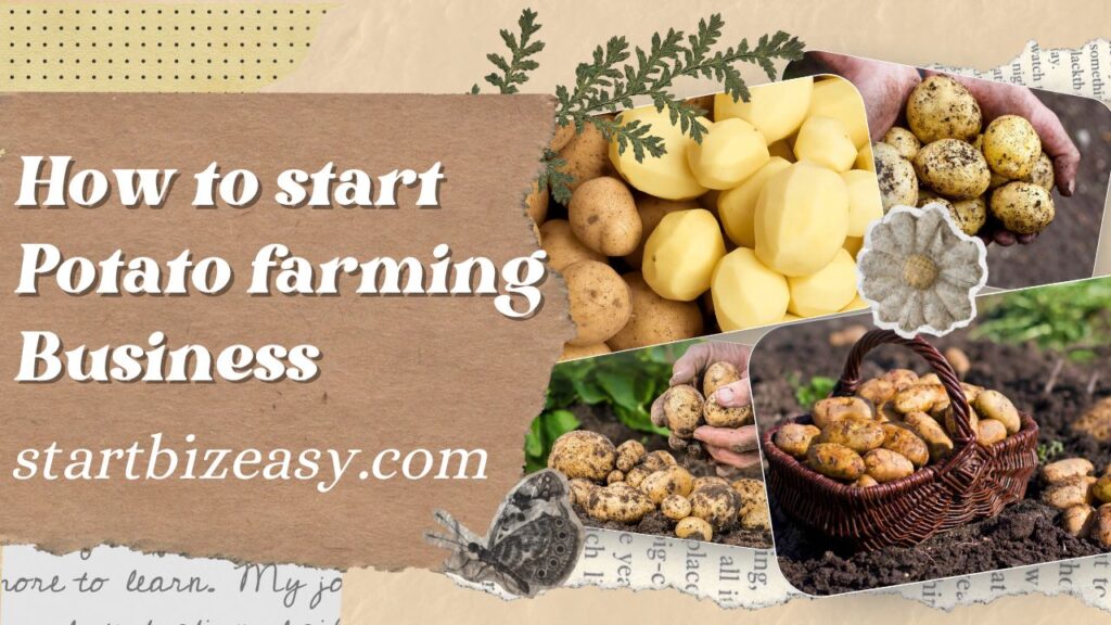 How to start Potato farming Business