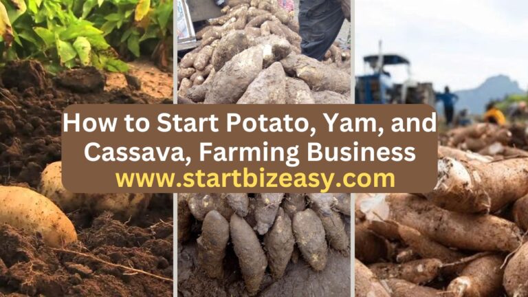 How to Start Potato, Yam, and Cassava, Farming Business