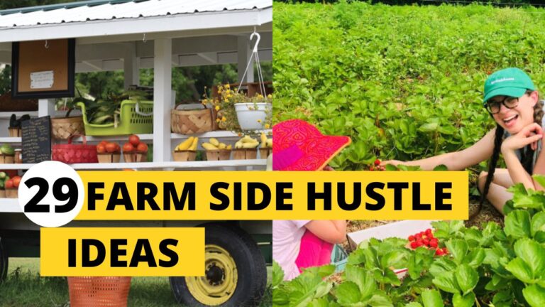 Top 29 Lucrative Farm Side Hustles